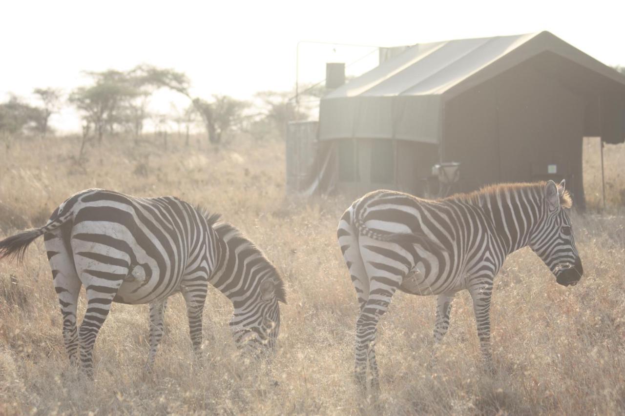Kananga Special Tented Camp Banagi Εξωτερικό φωτογραφία
